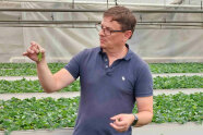 Führung Durch Die Jungpflanzenproduktion Bei Selecta Klemm Small