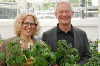Uta Hübner und Josef Hofbauer mit regionalen Balkontomaten