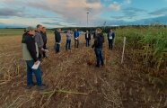 Interessierte Landwirte auf dem Versuchsfeld