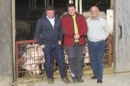 Drei Landwirte vor Schweinestall